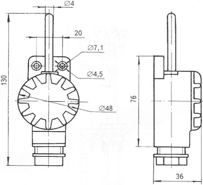 Рис.1. Габаритный чертеж термопреобразователя сопротивления ТСП-1290В